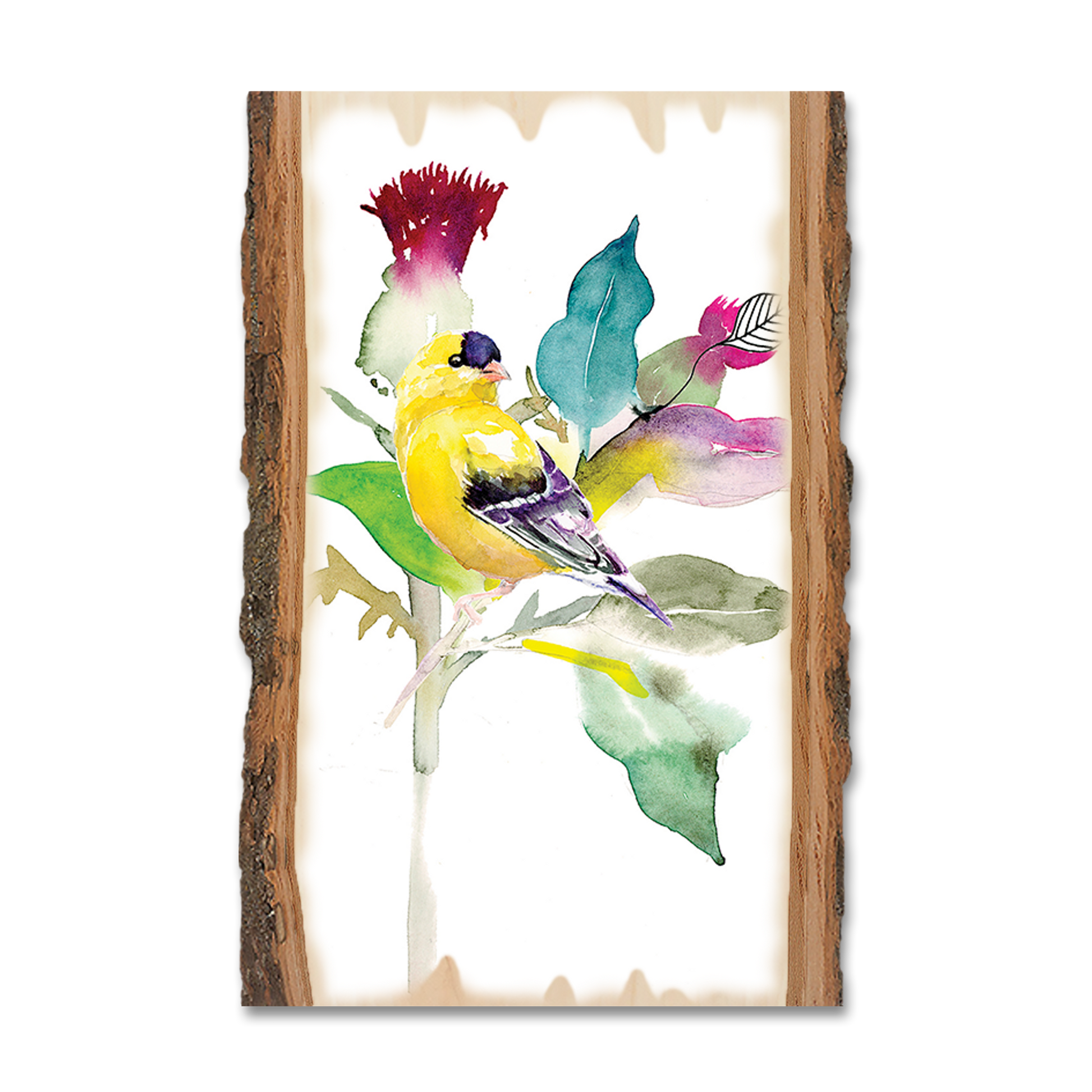 Postcard: Live Edge - Henning's Thistle Finch