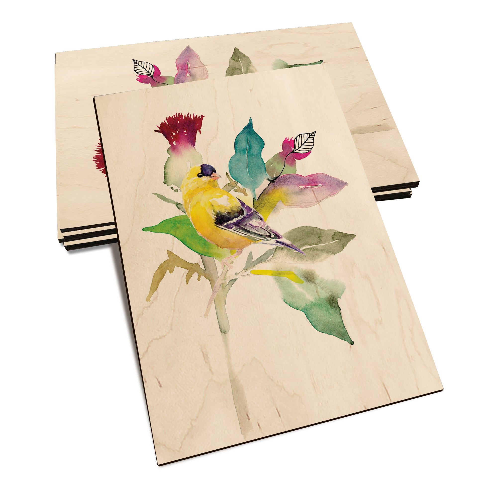 Henning's Thistle Finch - Classic Edge Classic Edge Postcard (5pk // $2.80ea)