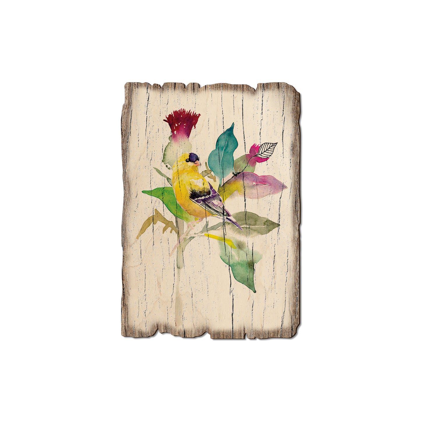 Henning's Thistle Finch - Rustic Edge Postcards & Magnets Rustic Edge Magnet (5pk // $2.80ea)