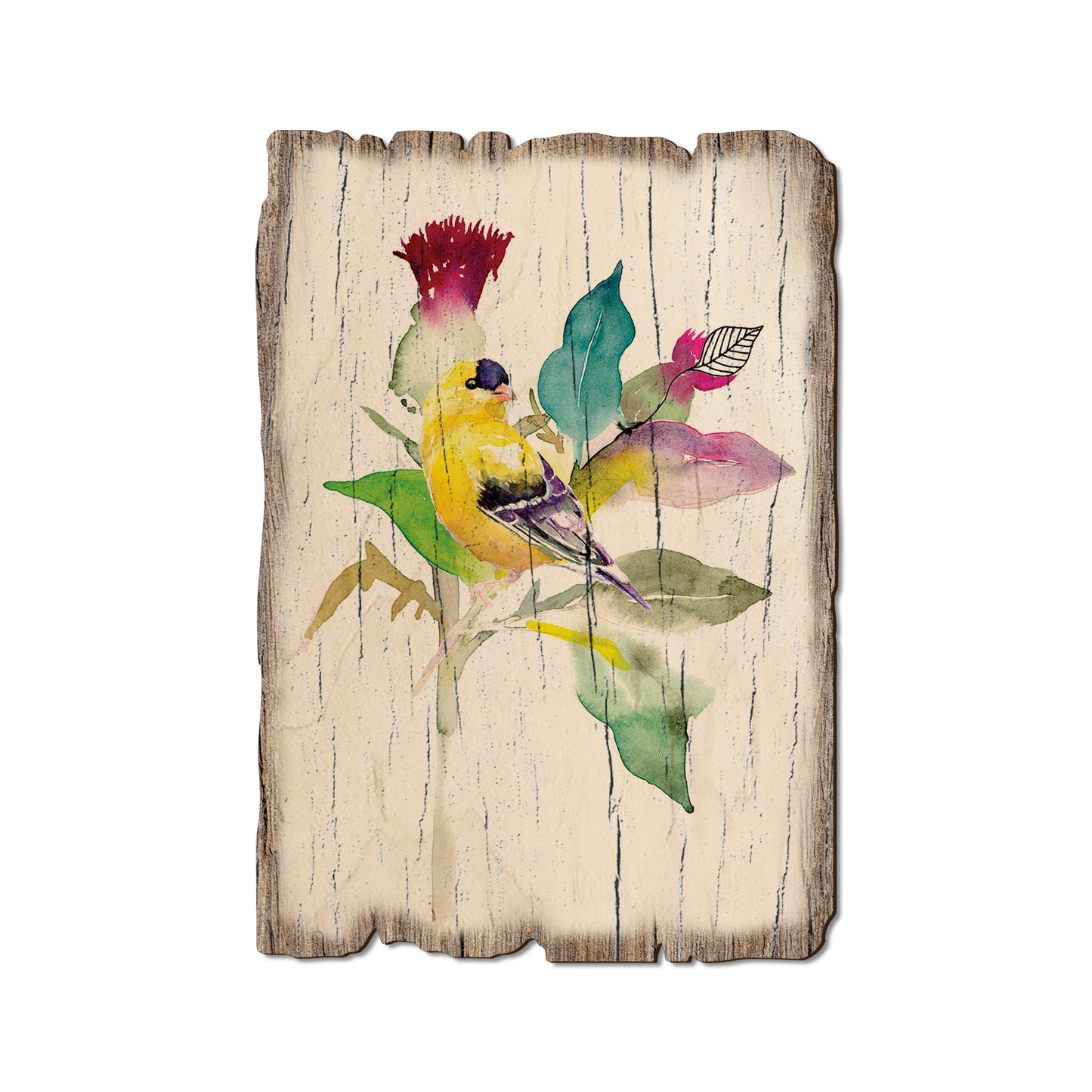 Henning's Thistle Finch - Rustic Edge Postcards & Magnets Rustic Edge Postcard (5pk // $2.80ea)