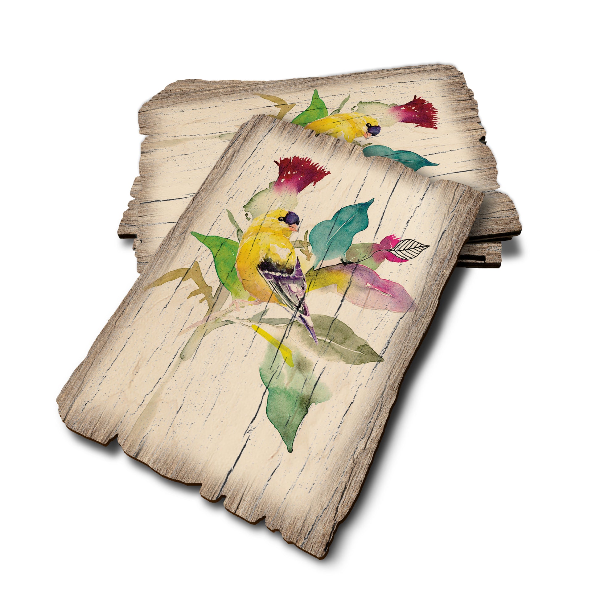 Henning's Thistle Finch - Weathered Edge Rustic Edge Postcard (5pk // $2.80ea)