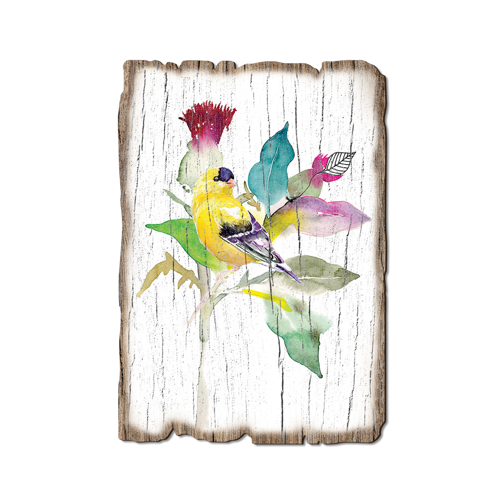 Postcard: Weathered Edge - Henning's Thistle Finch (Pack of 5)