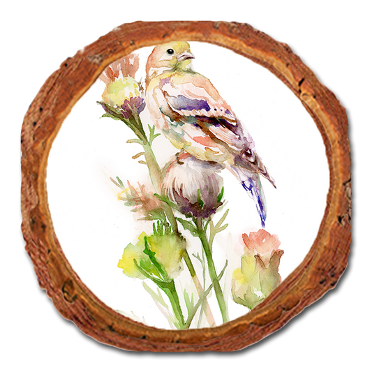 Coaster: Live Edge - Henning's Thistle Gold (Pack of 5)