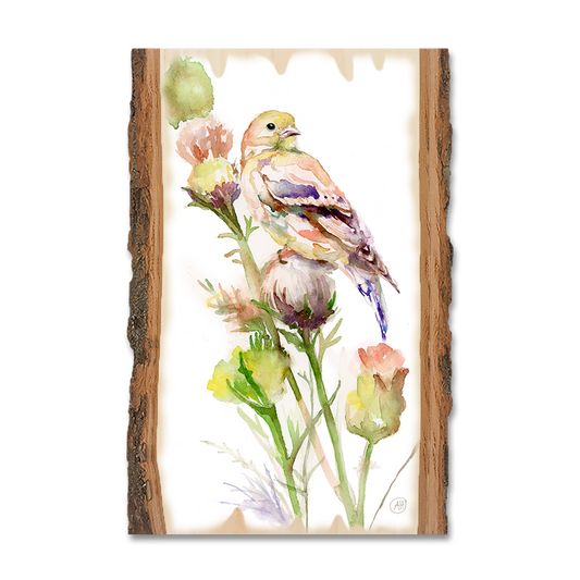 Magnet: Live Edge - Henning's Thistle Gold