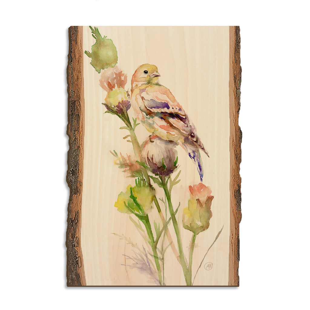 Henning's Thistle Gold - Live Edge