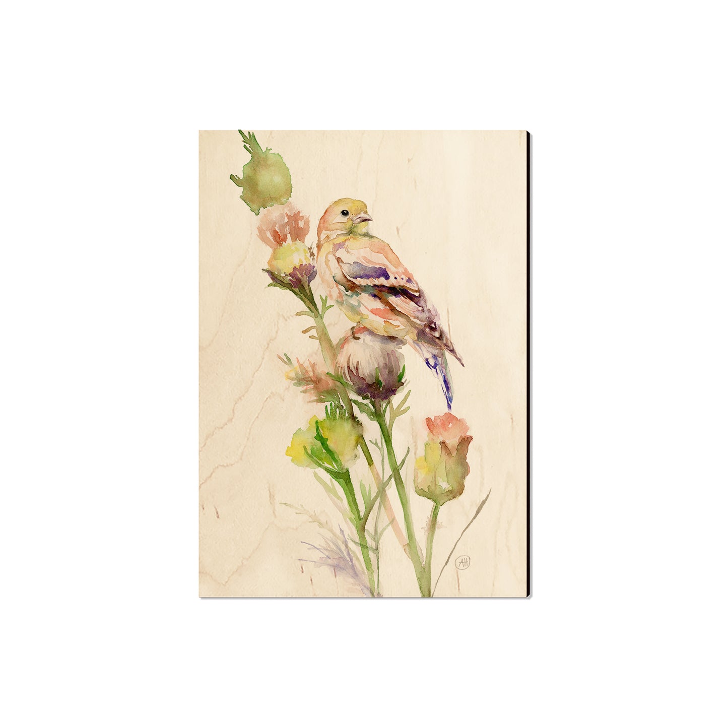 Henning's Thistle Gold - Classic Edge
