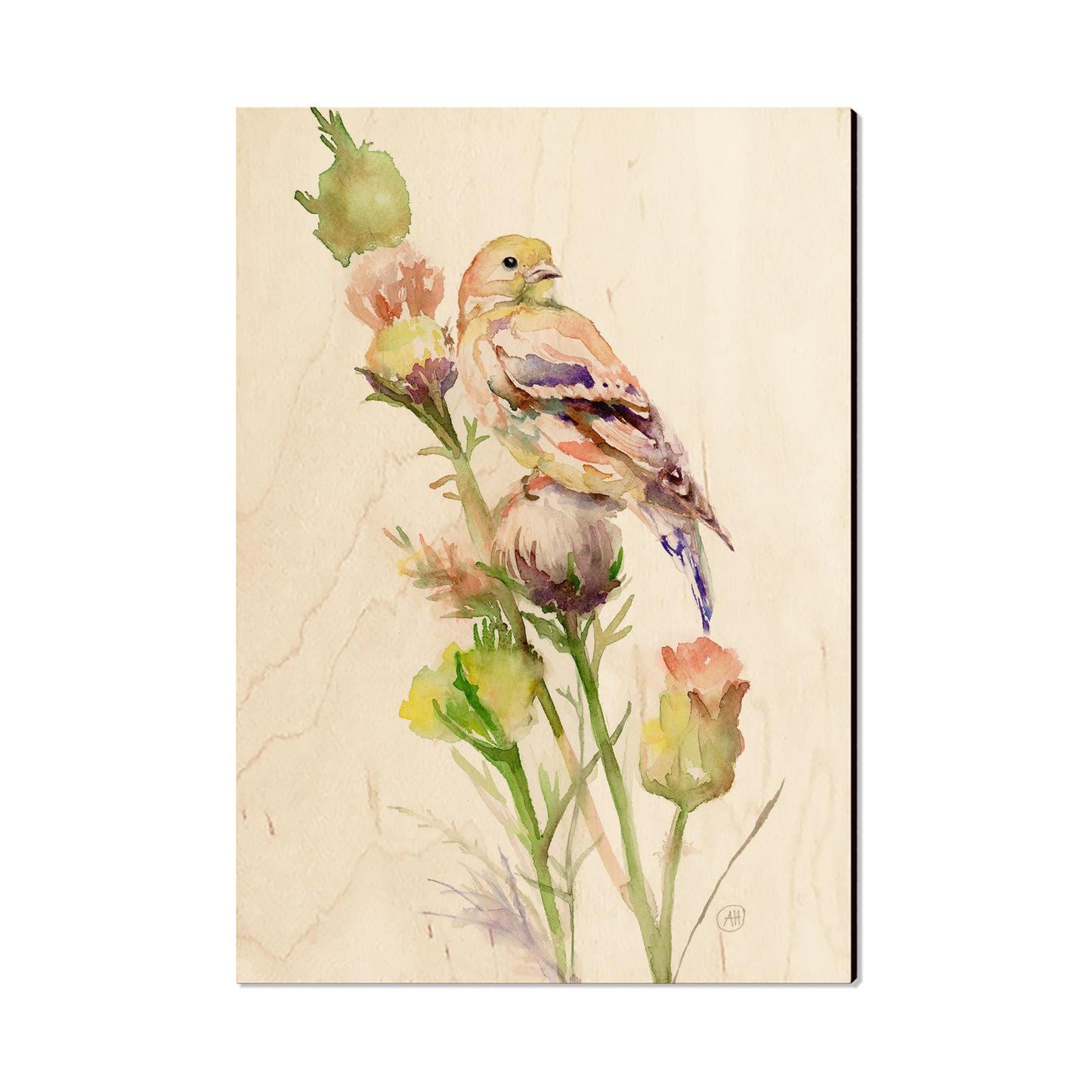 Henning's Thistle Gold - Classic Edge