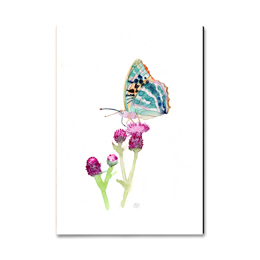 Magnet: Classic Edge - Henning's Thistle Moth (Pack of 5)