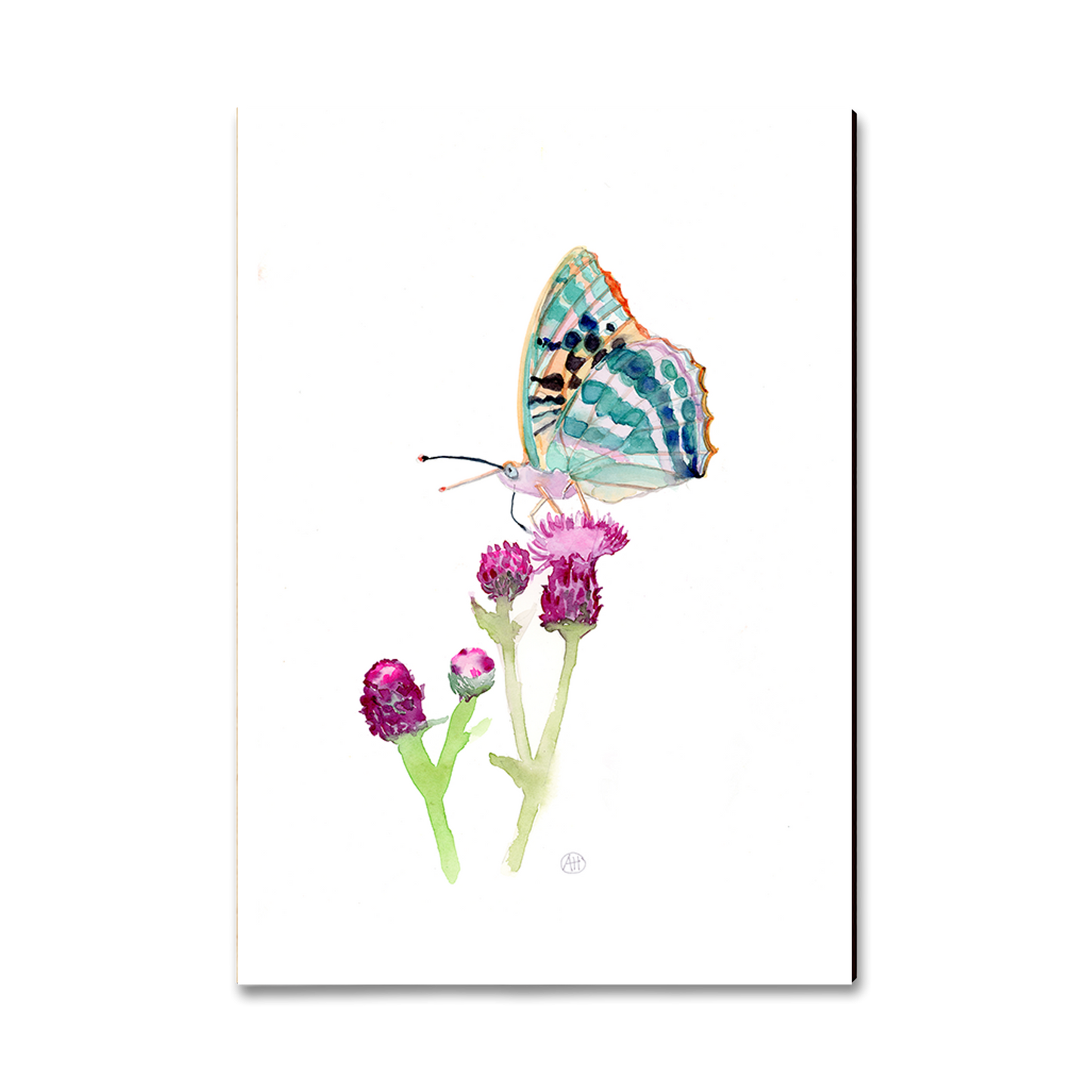 Postcard: Classic Edge - Henning's Thistle Moth (Pack of 5)