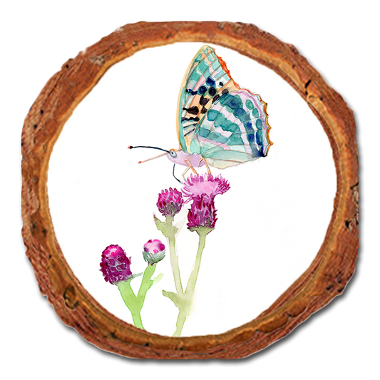 Coaster: Live Edge - Henning's Thistle Moth (Pack of 5)