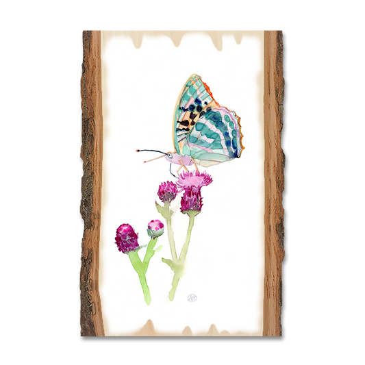 Magnet: Live Edge - Henning's Thistle Moth