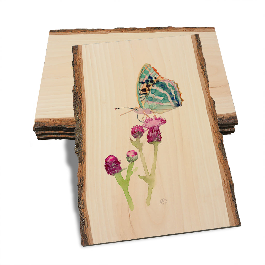 Henning's Thistle Moth - Live Edge Live Edge Postcard (5pk // $2.80ea)