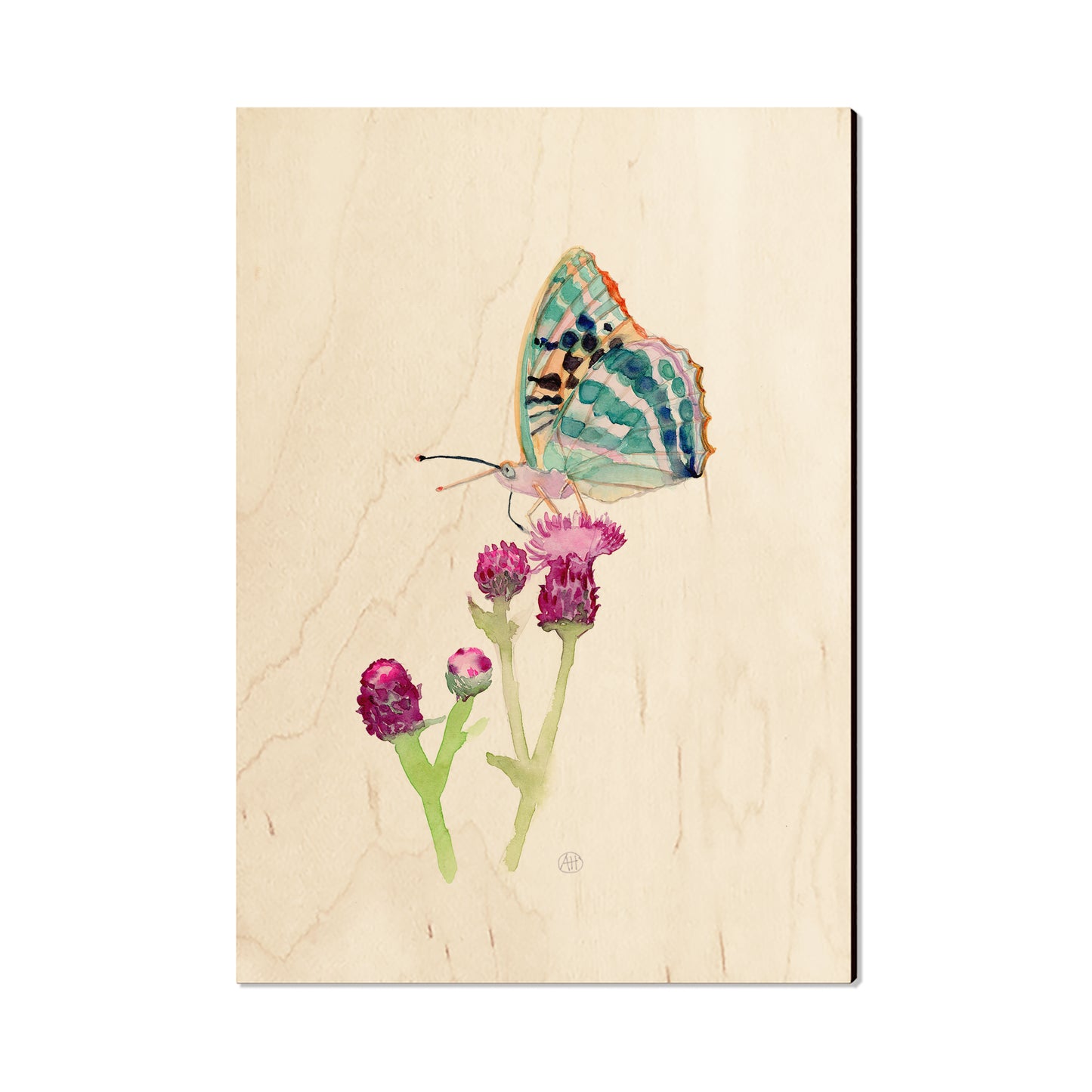 Henning's Thistle Moth - Magnet Classic Edge Postcard (5pk // $2.80ea)