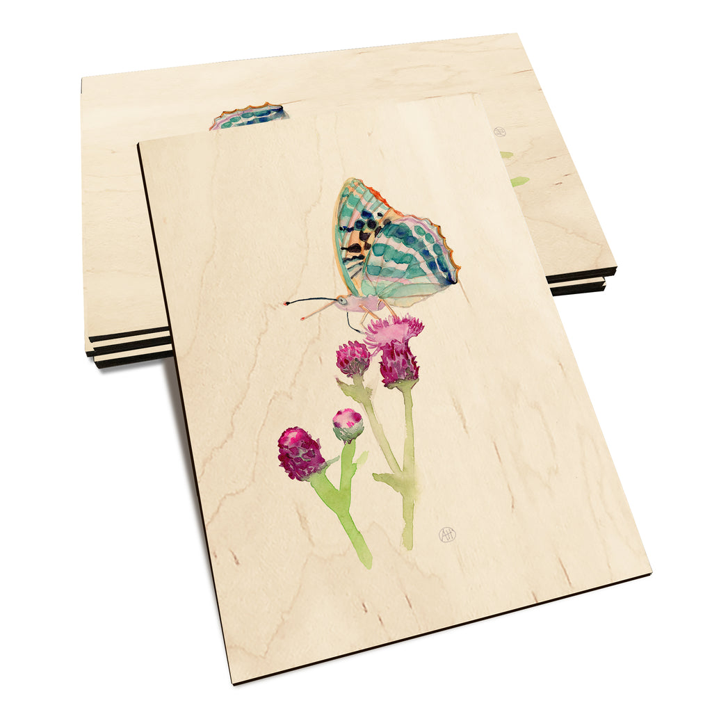 Henning's Thistle Moth - Classic Edge Classic Edge Postcard (5pk // $2.80ea)