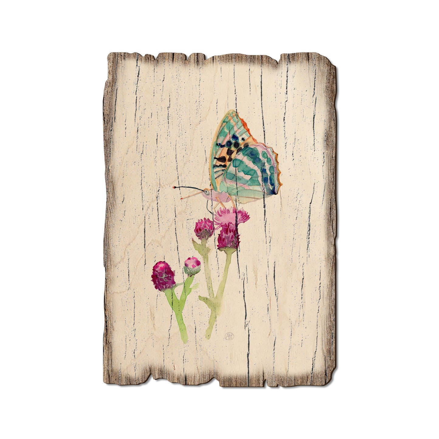 Henning's Thistle Moth - Weathered Edge Magnet Weathered Edge Postcard (5pk // $2.80ea)
