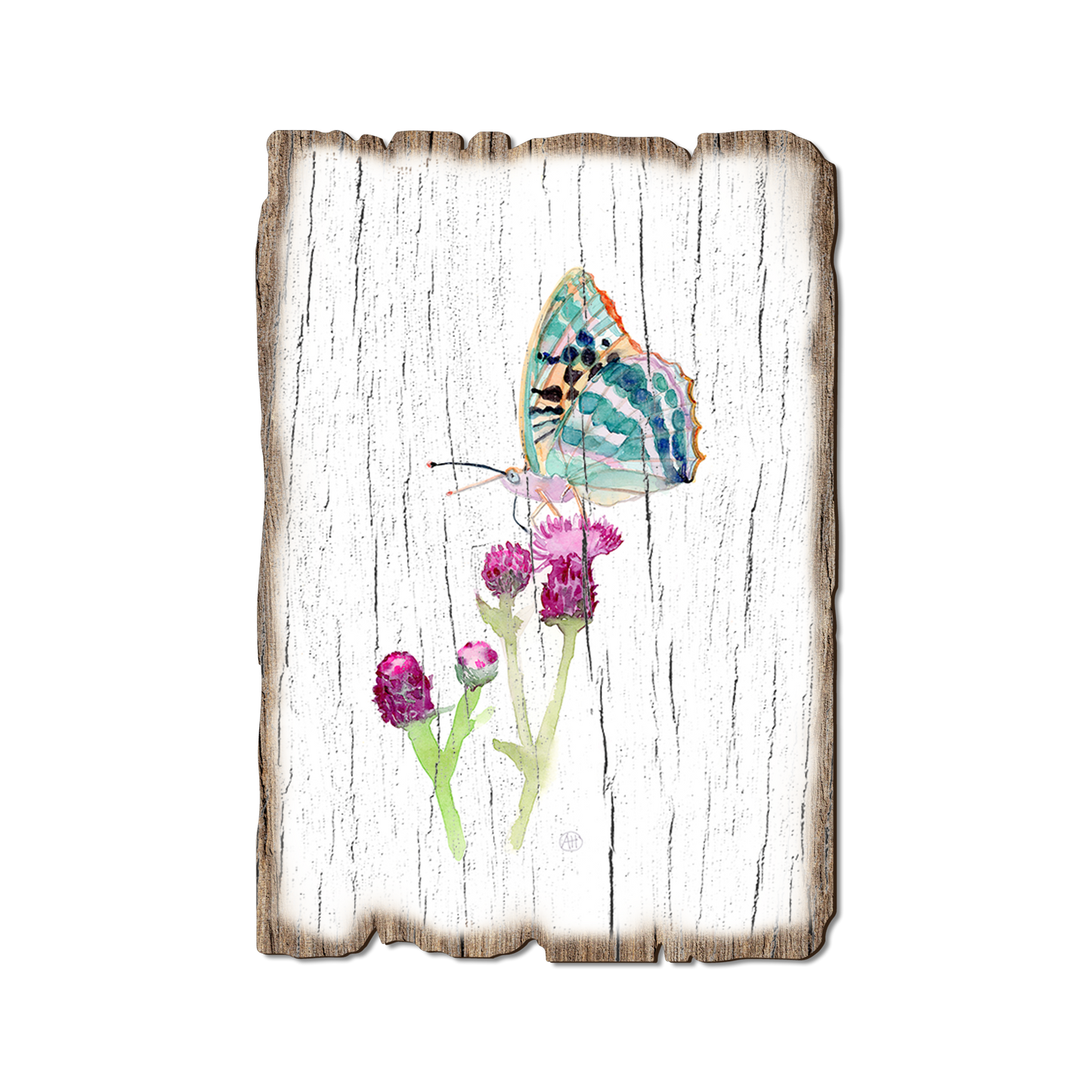 Postcard: Weathered Edge - Henning's Thistle Moth