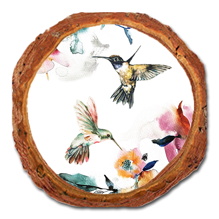 Coaster: Live Edge - Henning's Two Pollinators (Pack of 5)