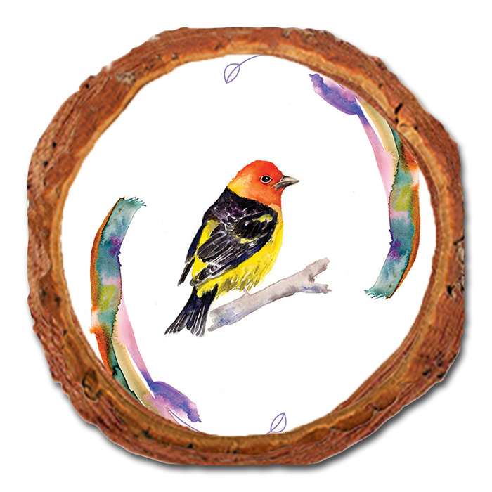 Coaster: Live Edge - Henning's Tanager Rings (Pack of 5)