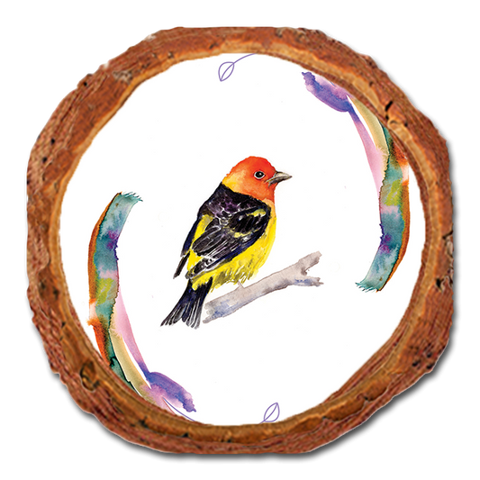Coaster: Live Edge - Henning's Tanager Rings (Pack of 5)