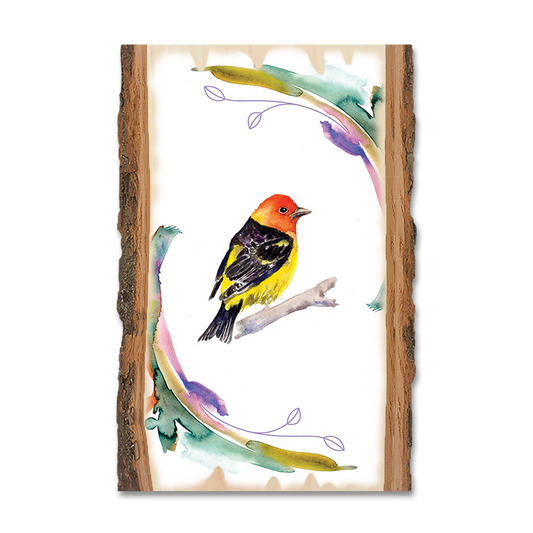 Magnet: Live Edge - Henning's Tanager Rings