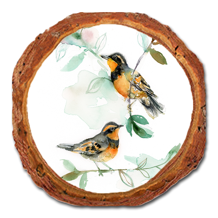 Coaster: Live Edge - Henning's Thrush Twins (Pack of 5)