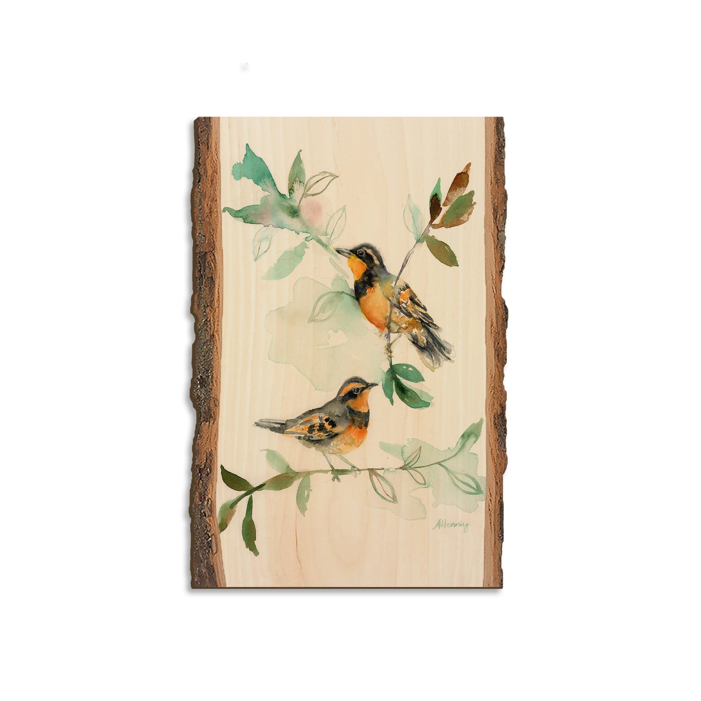 Henning's Thrush Twins - Live Edge Magnet Live Edge Magnet (5pk // $2.80ea)