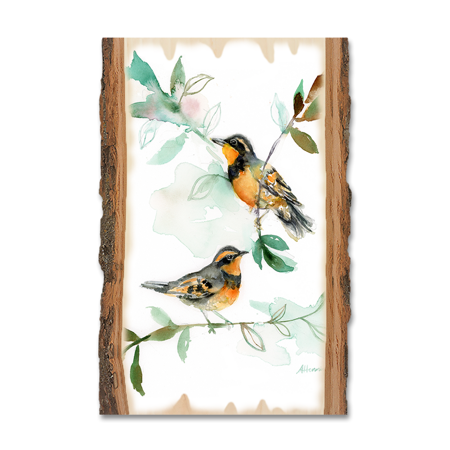 Magnet: Live Edge - Henning's Thrush Twins