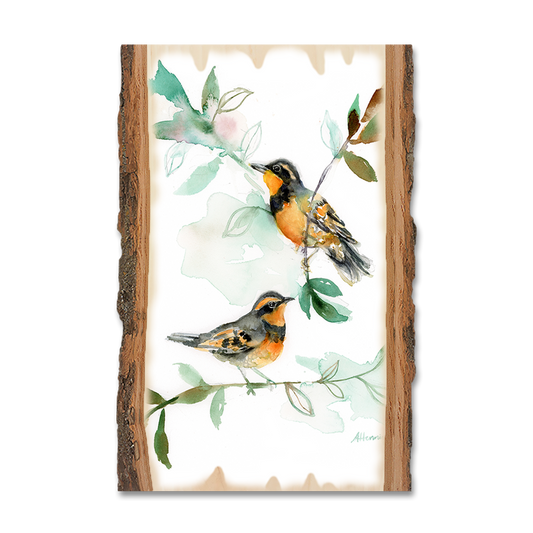 Magnet: Live Edge - Henning's Thrush Twins