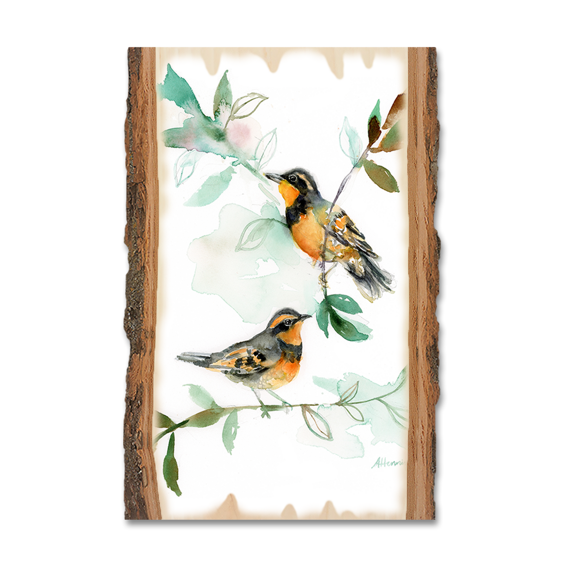 Ornament: Live Edge - Henning's Thrush Twins