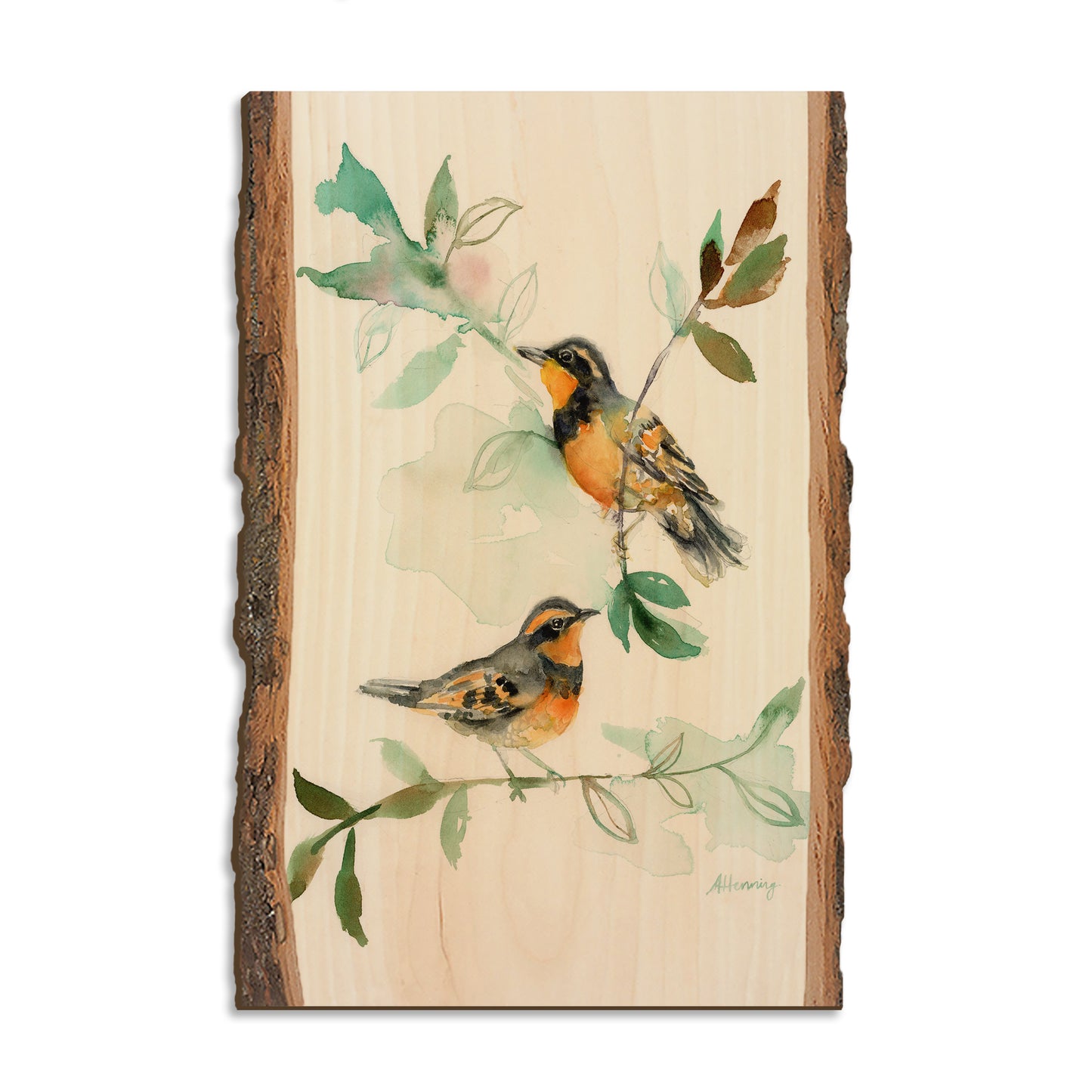 Henning's Thrush Twins - Live Edge Magnet Live Edge Postcard (5pk // $2.80ea)