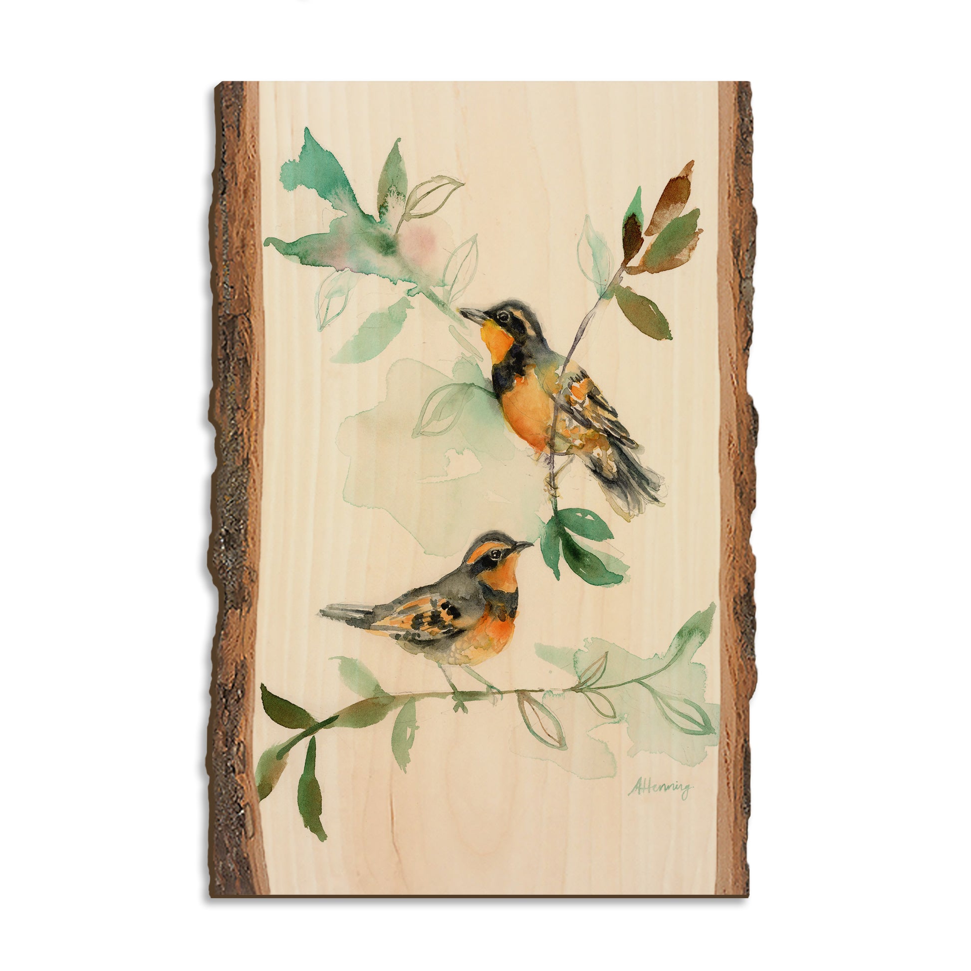 Henning's Thrush Twins - Live Edge Magnet Live Edge Postcard (5pk // $2.80ea)