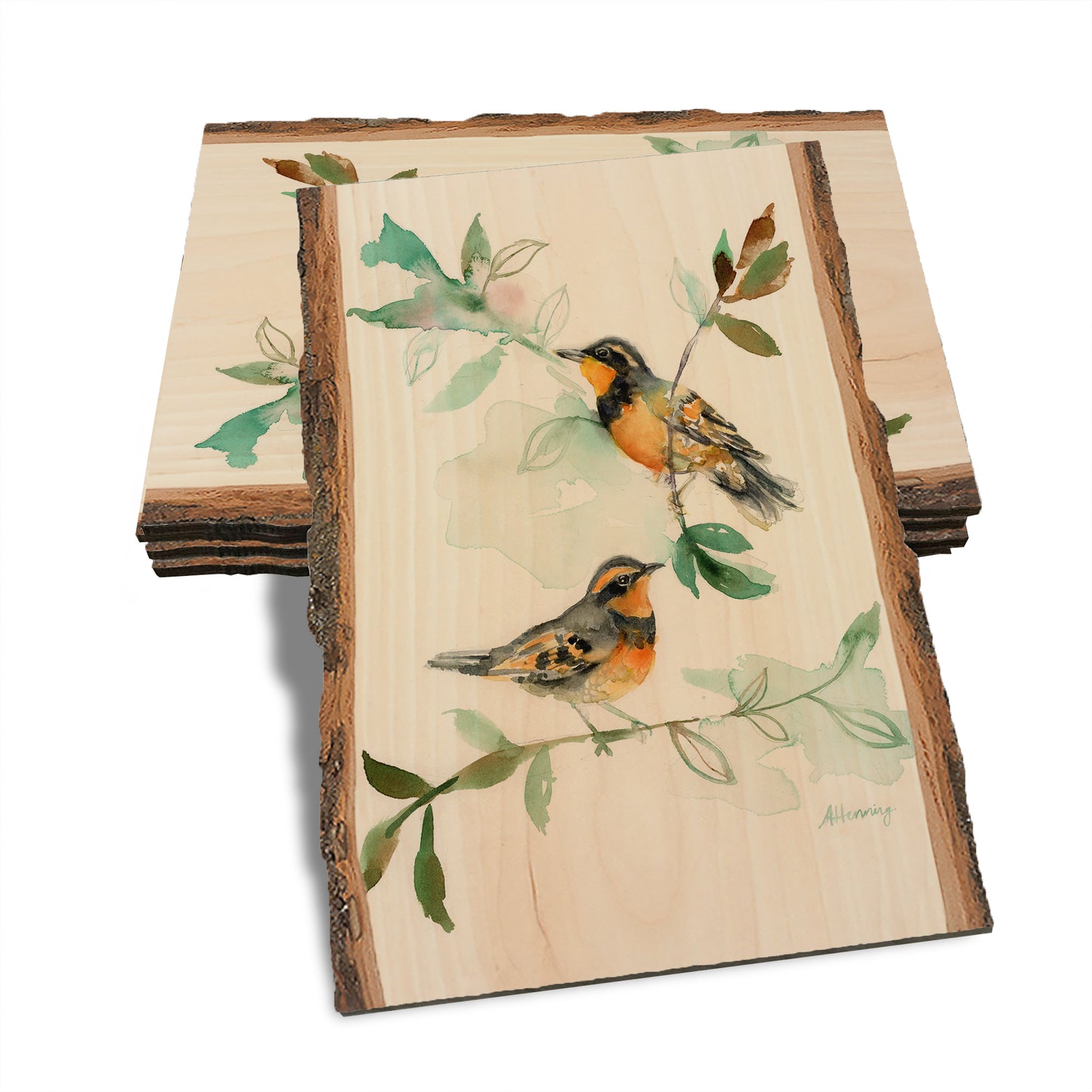 Henning's Thrush Twins - Live Edge Live Edge Postcard (5pk // $2.80ea)