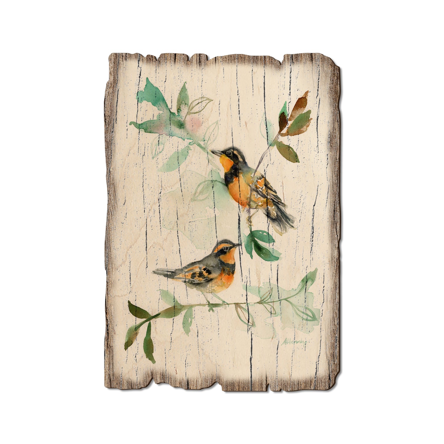 Henning's Thrush Twins - Weathered Edge Magnet Weathered Edge Postcard (5pk // $2.80ea)