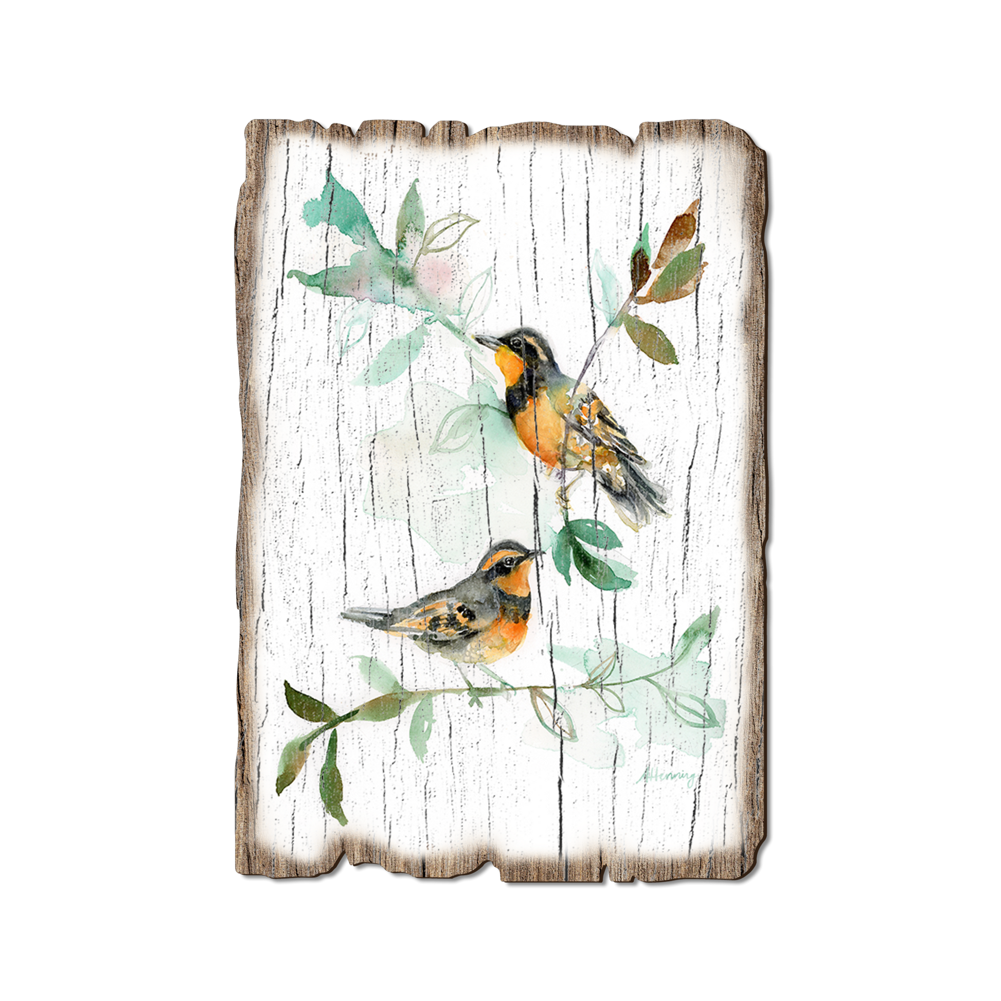 Postcard: Weathered Edge - Henning's Thrush Twins (Pack of 5)