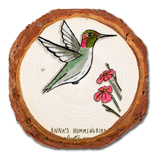 Coaster: Live Edge - Anna's Hummingbird (Pack of 5)