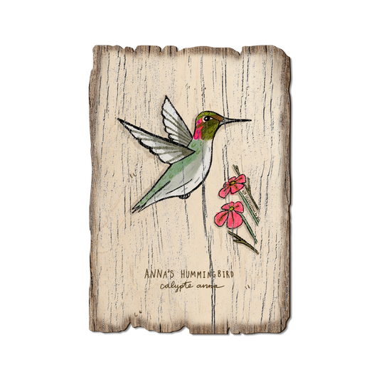 Greeting Card: Weathered Edge - Anna's Hummingbird (Pack of 5)