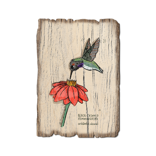 Greeting Card: Weathered Edge - Black (Pack of 5)