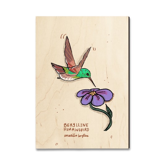 Magnet: Classic Edge - Berylline Hummingbird