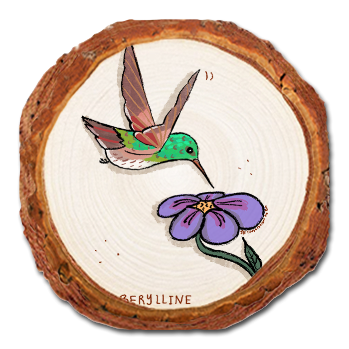 Coaster: Live Edge - Berylline Hummingbird (Pack of 5)