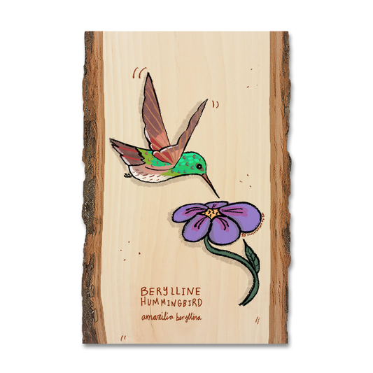 Magnet: Live Edge - Berylline Hummingbird