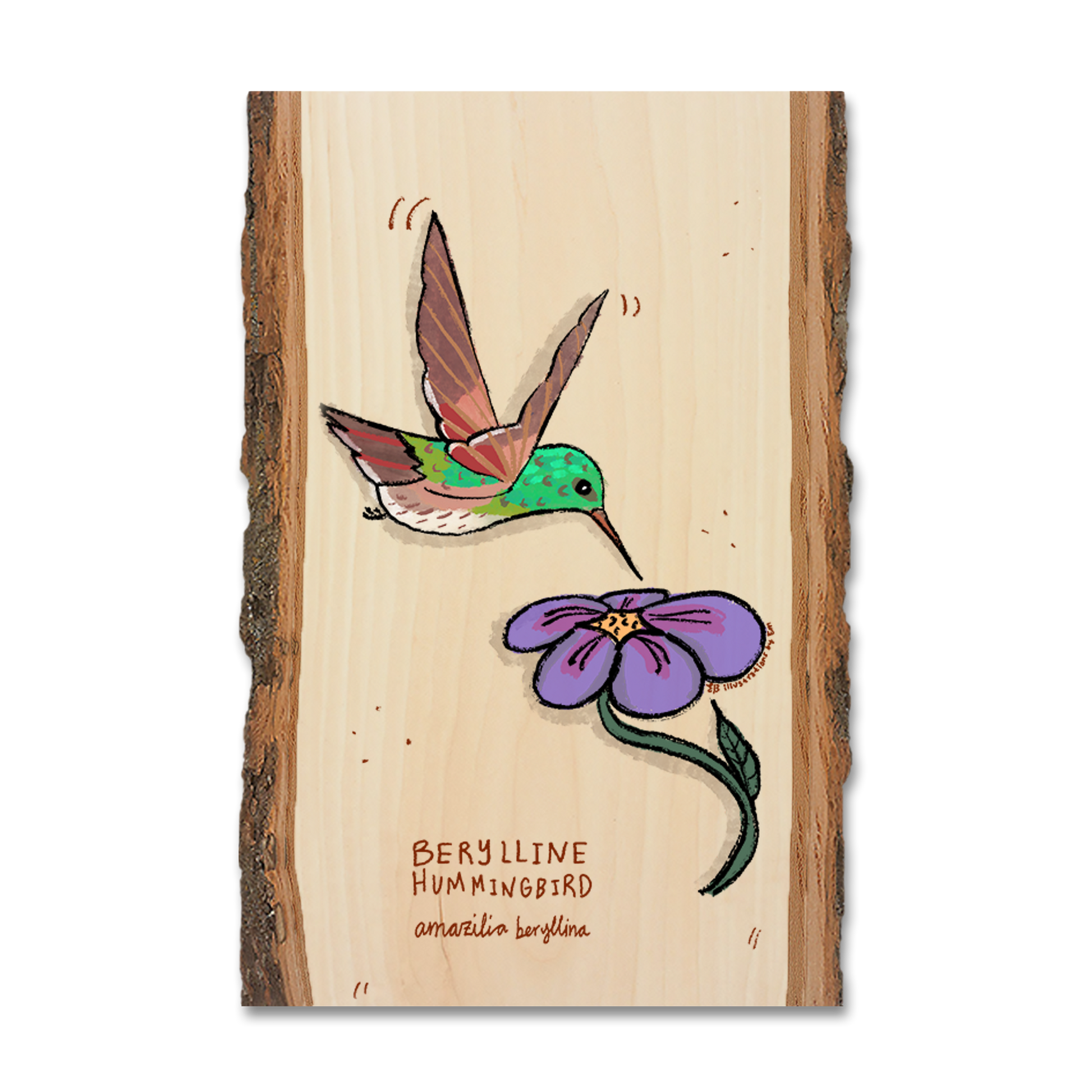 Ornament: Live Edge - Berylline Hummingbird