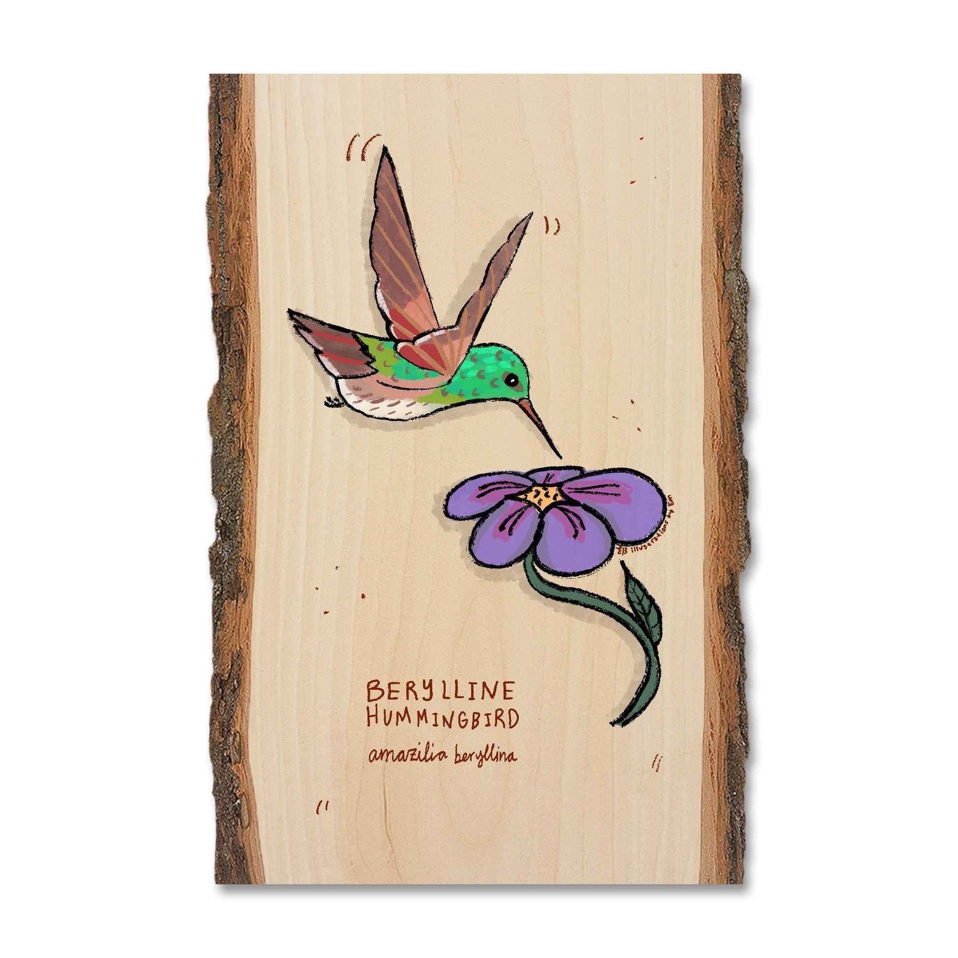 Berylline Hummingbird - Live Edge