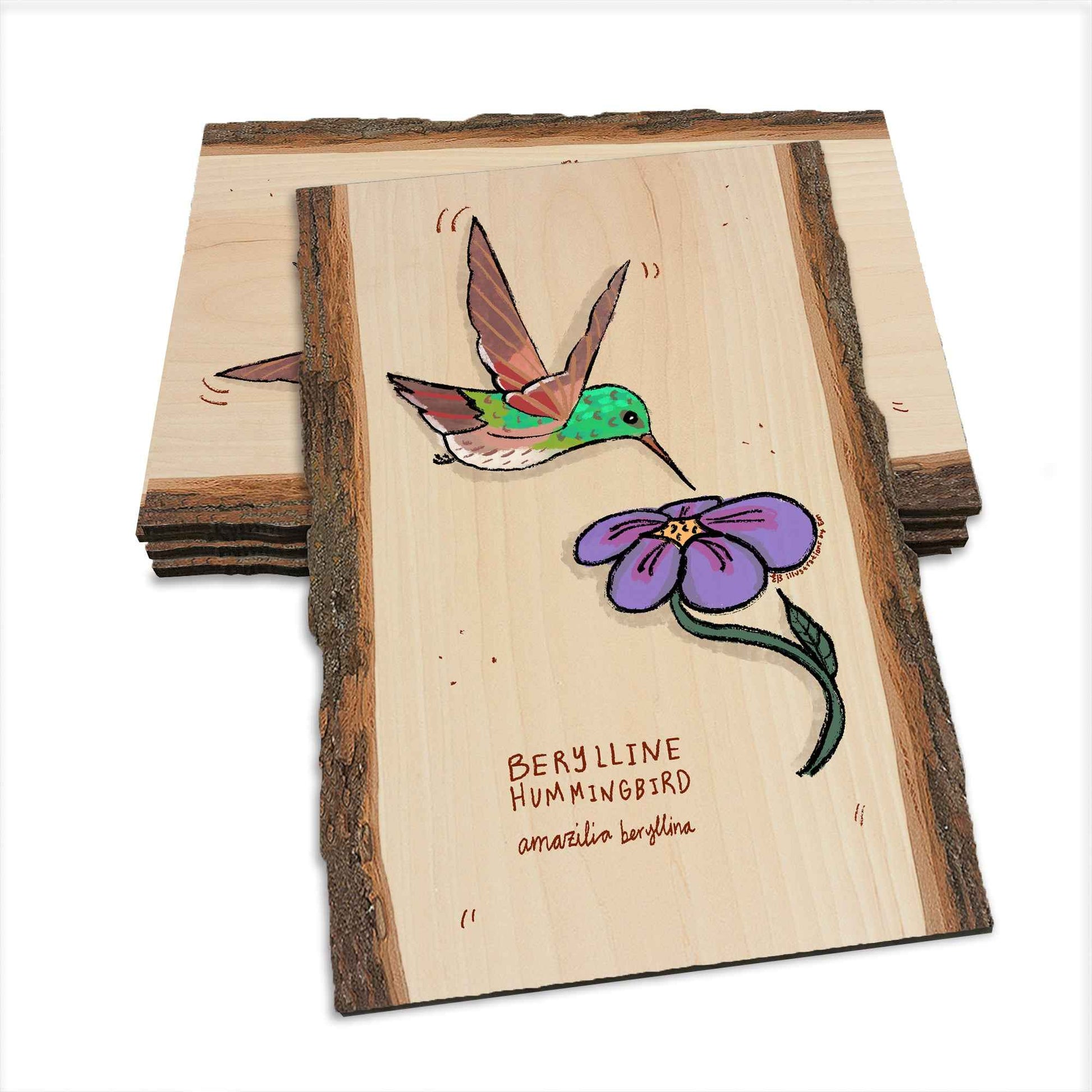 Berylline Hummingbird - Live Edge