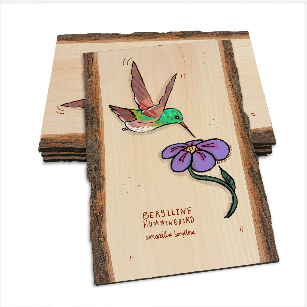 Berylline Hummingbird - Live Edge Live Edge Postcard (5pk // $2.80ea)
