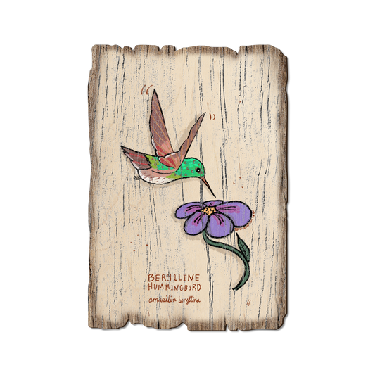 Greeting Card: Weathered Edge - Berylline Hummingbird (Pack of 5)