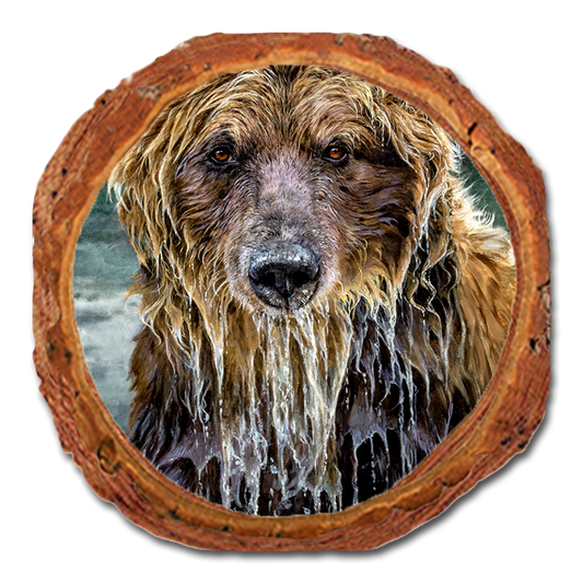 Coaster: Live Edge - Marris' Bad Day Fishing (Pack of 5)