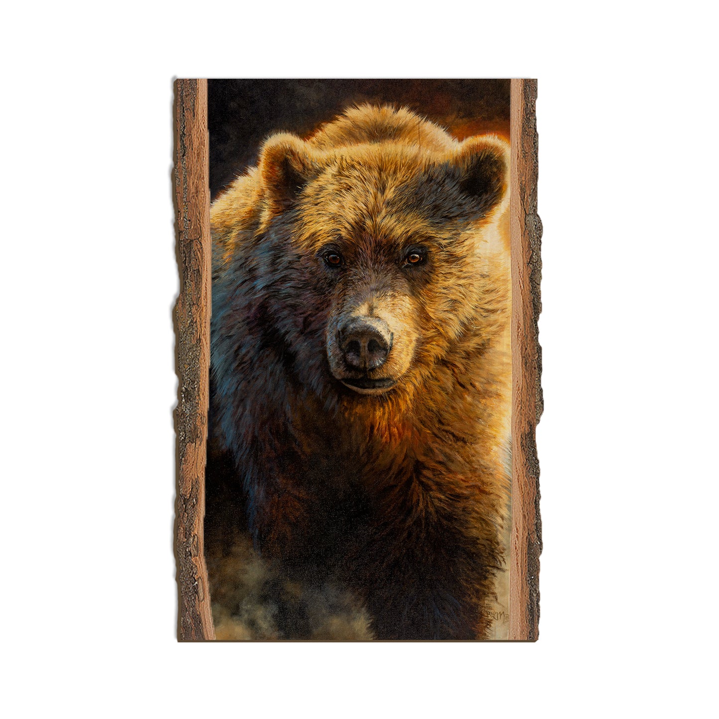 Marris' Big Grizz - Live Edge Live Edge Magnet (5pk // $2.80ea)