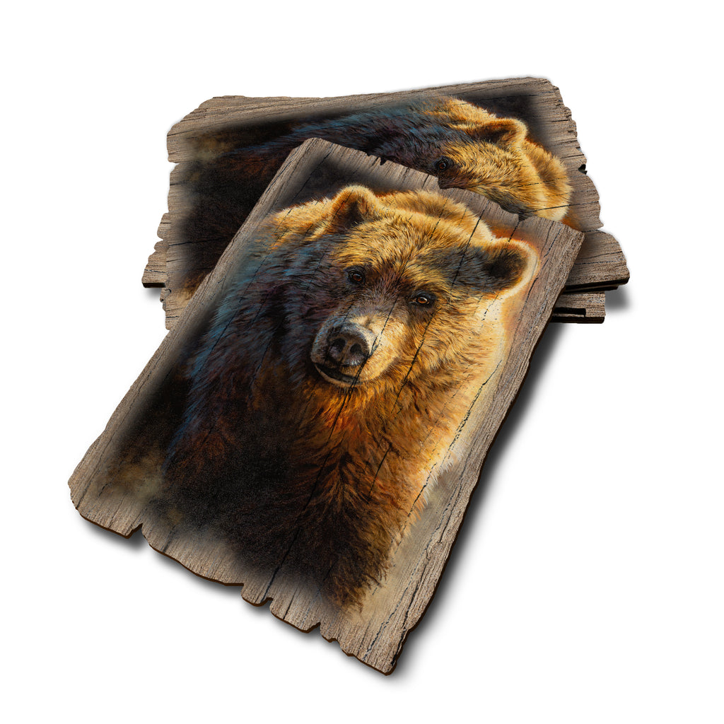 Marris' Big Grizz - Weathered Edge Rustic Edge Postcard (5pk // $2.80ea)