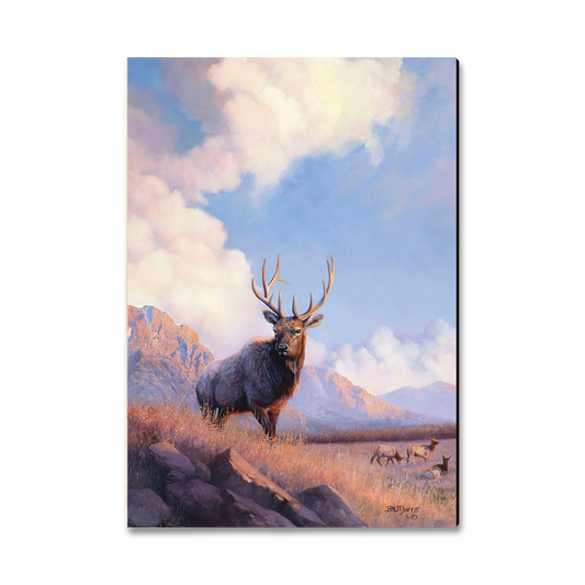 Greeting Card: Classic Edge - Marris' Blue Sky Elk