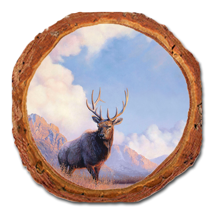 Coaster: Live Edge - Marris' Blue Sky Elk (Pack of 5)